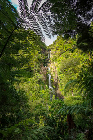 Remote Waterfalls Jungle Wallpaper