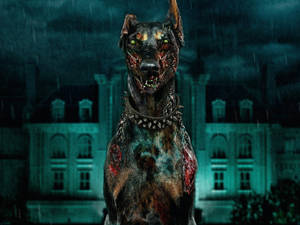 Resident Evil Welcome To Raccoon City Wallpapers WallpapersOK