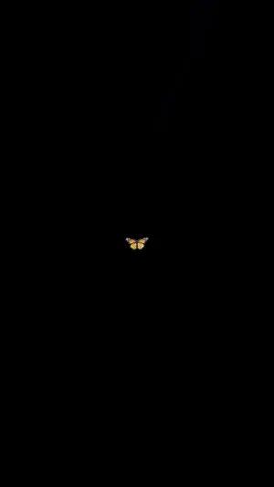 Retro Aesthetic Grunge Phone Wallpaper Wallpaper