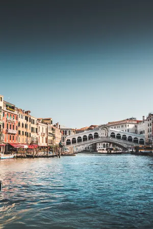 Rialto Bridge Portrait Old Iphone Wallpaper