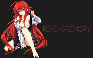 Rias Highschool Dxd Poster Wallpaper