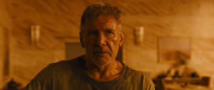 Rick Deckard Blade Runner 2049 4k Wallpaper