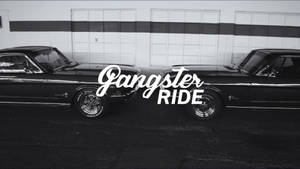 Ride Like A Gangster With Mustang Wallpaper