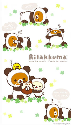 Rilakkuma In Panda Suits Wallpaper