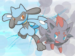 Riolu And Zorua Wallpaper