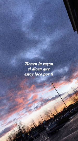 Rising Artist Cuco Performing Live Wallpaper