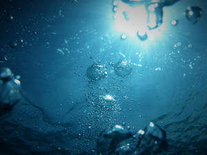 Rising Bubbly Water Wallpaper