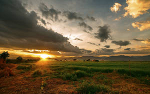 Rising Sun On Grassy Field Wallpaper