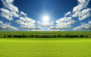 Rising Sun On Green Field Wallpaper