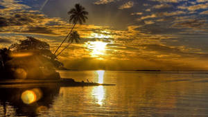 Rising Sun On Tropical Beach Wallpaper