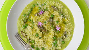 Risotto Garlic Flower Wallpaper