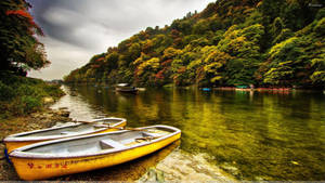 River View With Yellow Green Trees Wallpaper