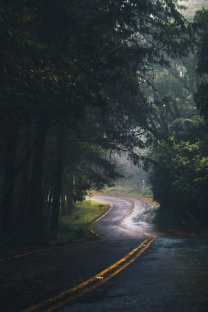 Road In Forest Iphone Landscape Wallpaper