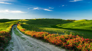 Road In Tuscany Italy Desktop Wallpaper