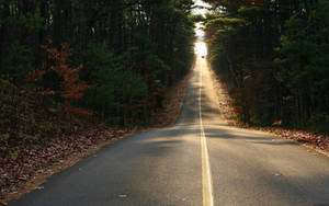 Road Passing Forest High Resolution Wallpaper