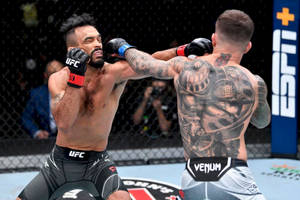 Rob Font In Intense Fight Wallpaper