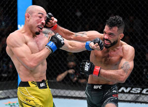 Rob Font Vs Jose Aldo Wallpaper