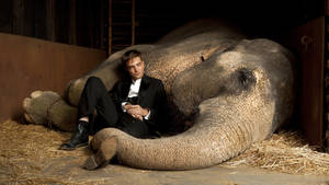 Robert Pattinson Water For Elephants Wallpaper