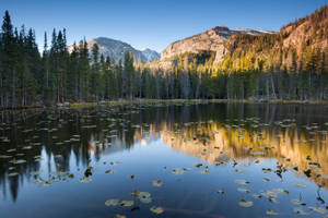 Rocky Mountain Colorado Lake Wallpaper