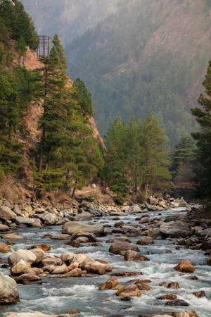 Rocky Riverside With Trees Phone Wallpaper