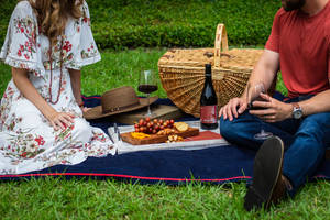 Romantic Couples Picnic Date Wallpaper