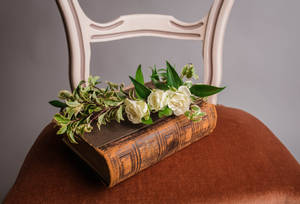 Romantic Love Flowers White Roses On Book Wallpaper