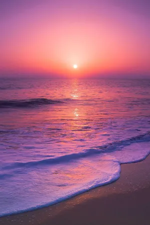 Romantic Pink Sunset Wallpaper