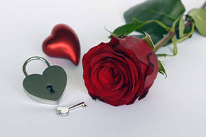 Romantic Rose And Heart-shaped Lock Wallpaper