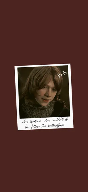 Ron Weasley Polaroid Photo Wallpaper