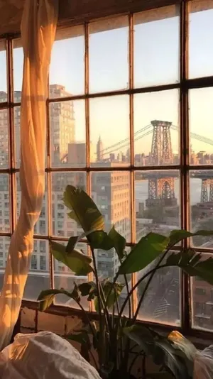 Room Cool Vibes Wallpaper