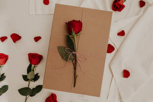 Rose, Flower, Envelope Wallpaper