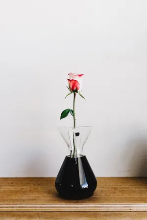 Rose, Flower, Vase Wallpaper
