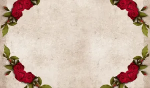 Rose Framed Happy Birthday Flowers Wallpaper