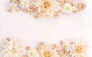 Rose Gold Carnation Flowers Laptop Wallpaper