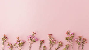Rose Gold Tiny Flowers Wallpaper