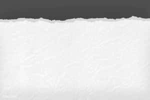 Rough Edge White Torn Paper Wallpaper