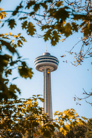 Roundhouse Park Tower Ontario Wallpaper