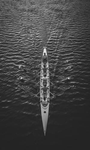 Rowing Race Greyscale Wallpaper