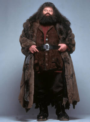 Rubeus Hagrid Portrait Wallpaper