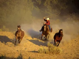Running Horses And Western Cowboy Desktop Wallpaper
