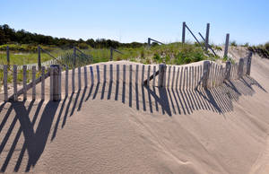 Rustic Wooden Fences Meandering Through Pristine Cape Cod Sand Dunes. Wallpaper