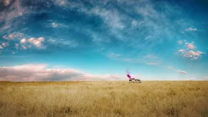 Rv Car In Breaking Bad Wallpaper