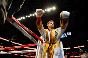 Ryan Garcia Boxing Gloves Forward Wallpaper