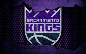 Sacramento Kings On Metal Screen Mesh Wallpaper