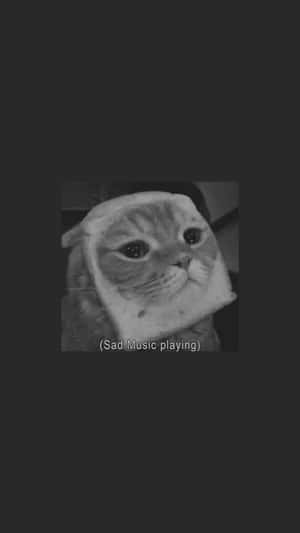 Sad Catwith Music Caption Wallpaper
