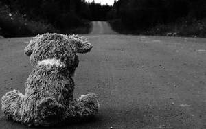 Sad Teddy Bear Wallpaper