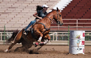 Saddle Up And Ride! Wallpaper