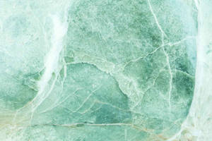 Sage Green Aesthetic Leaf Veins Wallpaper