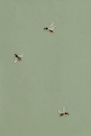 Sage Green Wall And Bees Wallpaper