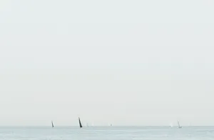 Sailing Different Sailboats Wallpaper